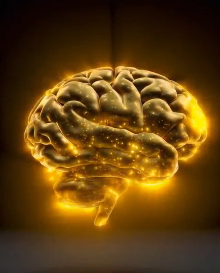 Nervous System Load